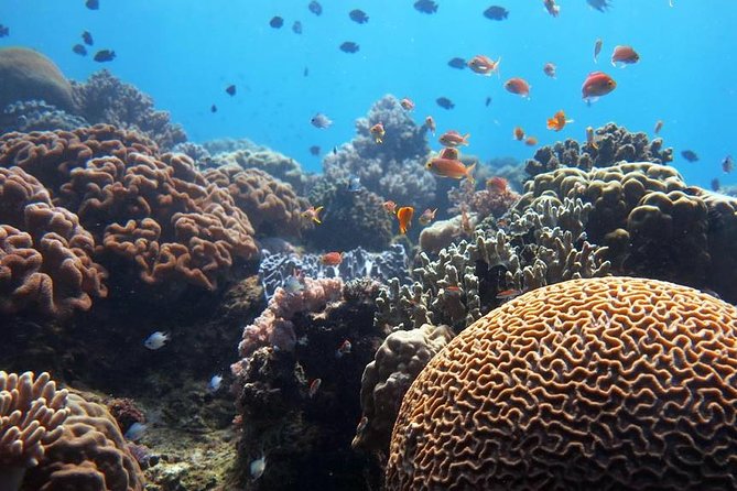 Bloo Lagoon Snorkeling East Bali Includes Transportation & Lunch - Kusamba Beach and its black volcanic sand