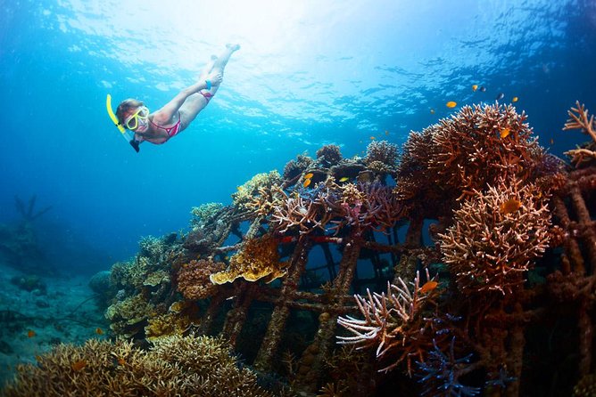 Bloo Lagoon Snorkeling East Bali Includes Transportation & Lunch - The Lempuyang Temple upgrade
