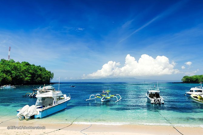 Bloo Lagoon Snorkeling East Bali Includes Transportation & Lunch - Guides, safety, and first-time confidence