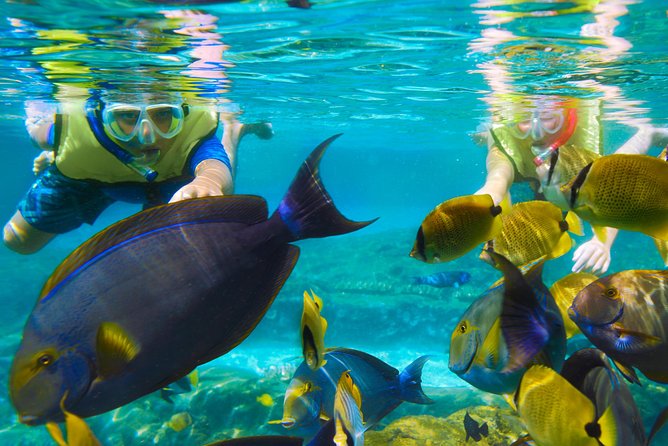 Bloo Lagoon Snorkeling East Bali Includes Transportation & Lunch - Is $82.50 a fair price?
