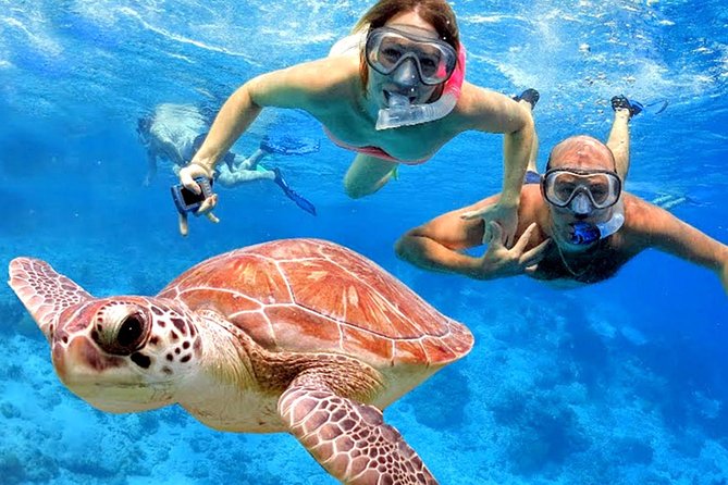 Blow Lagoon Bali Snorkeling and see Bali Bats Cave Temple - From Kuta to Blue Lagoon near Padang Bai