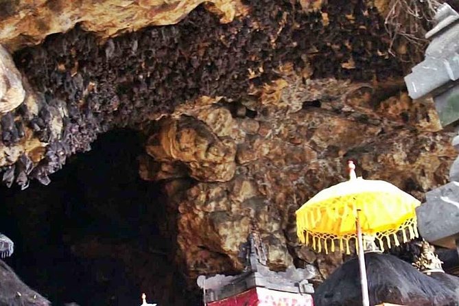 Blow Lagoon Bali Snorkeling and see Bali Bats Cave Temple - Entering Goa Lawah, Bali’s bat cave temple