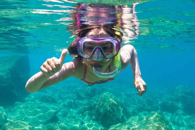 Blue Lagoon Bali Snorkeling Experience - Fish, turtles, currents, and coral conditions