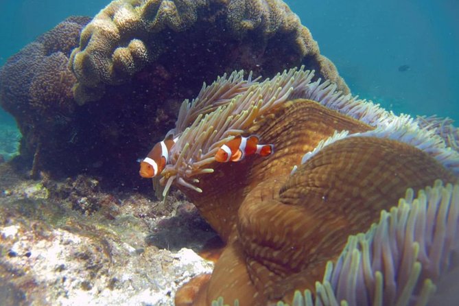 Blue Lagoon Bali Snorkeling Experience - Lunch, showers, and the practical extras