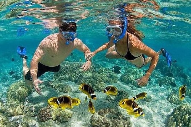 Blue Lagoon Snorkeling and Lunch - Kanto Lampo - Suwat Waterfall - All inclusive - Suwat Waterfall for a quieter change of pace