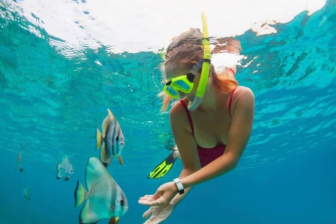 Blue Lagoon Snorkeling and Lunch - Ubud Monkey Forest - Waterfall - Why this Bali day trip works