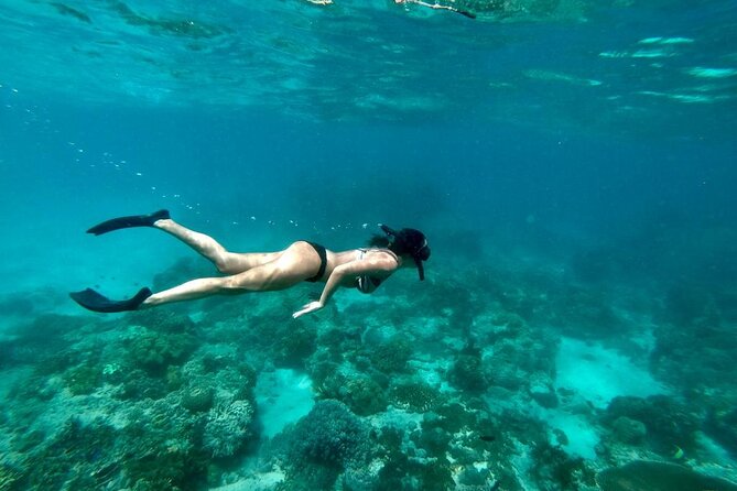Blue Lagoon Snorkeling and Lunch - Ubud Monkey Forest - Waterfall - Ubud Monkey Forest closes the day