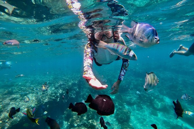 Blue Lagoon Snorkeling and Lunch with Tukad Cepung Waterfall - Who should book this day