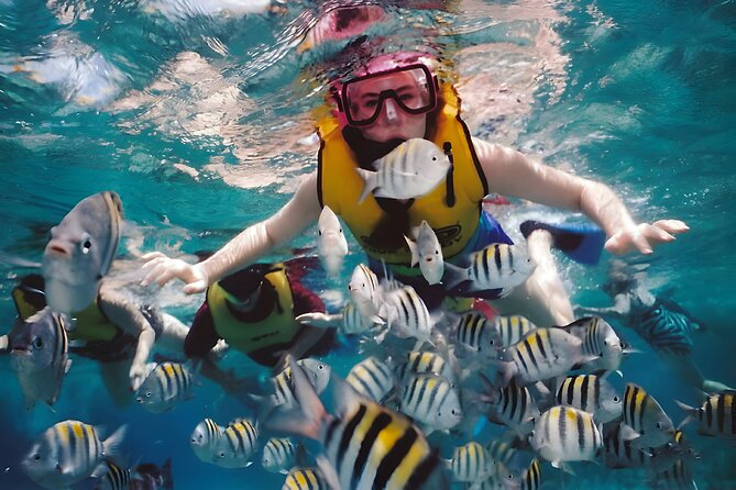 Blue Lagoon Snorkeling - Bali Best Snorkeling Site - What the $65 Price Really Covers