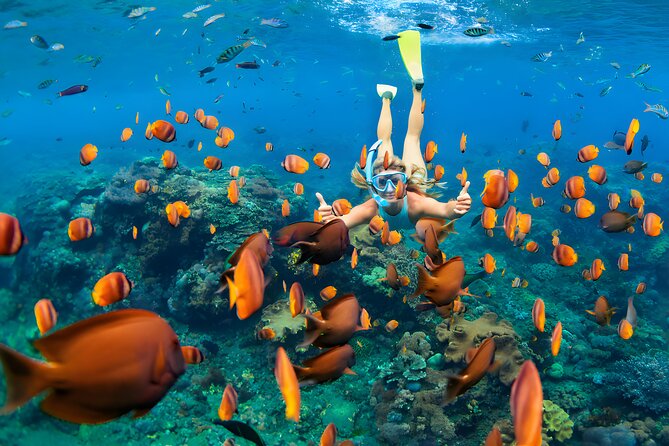 Blue Lagoon Snorkeling - Bali Best Snorkeling Site - Who Will Enjoy This Most