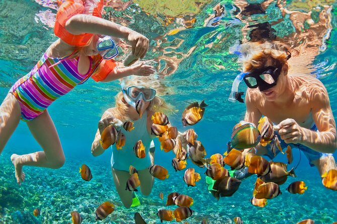 Blue Lagoon Snorkeling - Cave Waterfall - And More - All Included + FREE Wi-Fi - Blue Lagoon: three hours around Padangbai