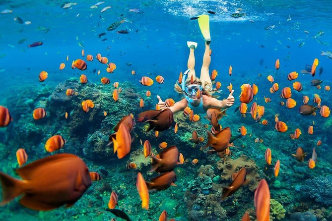 Blue Lagoon Snorkeling - Jungle Swing - Ubud - All Inclusive - A private car makes a long Bali route easier
