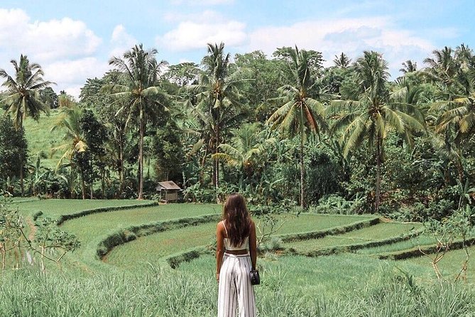 Blue Lagoon Snorkeling - Jungle Swing - Ubud - All Inclusive - What $101 per person really covers
