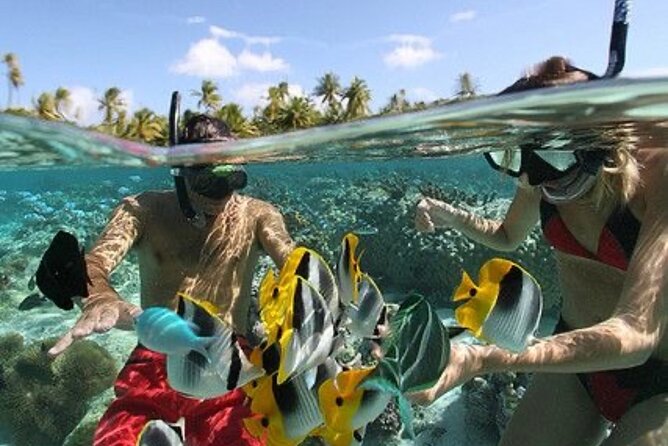 Blue Lagoon Snorkeling - Lunch - Kantolampo - Tibumana Waterfall - Who should book this private combination tour?