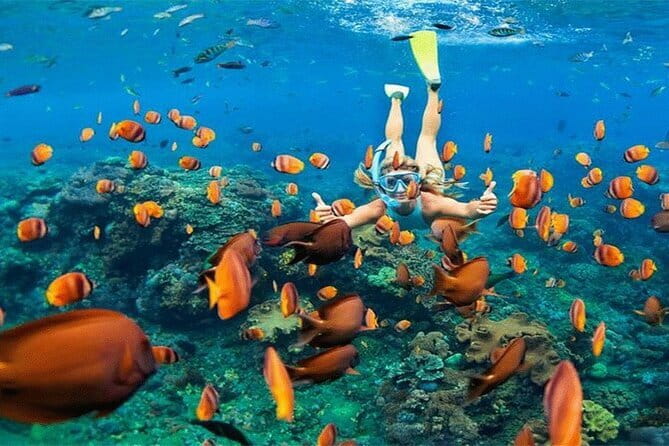Blue Lagoon Snorkeling with Lunch and Private Transport - Is $60 per person a fair price?