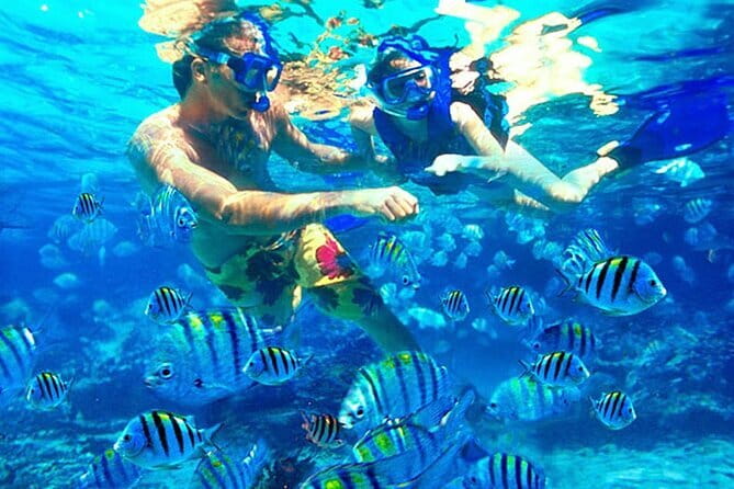 Blue Lagoon Snorkeling with Lunch and Waterfall in Ubud - What this private Bali day actually delivers