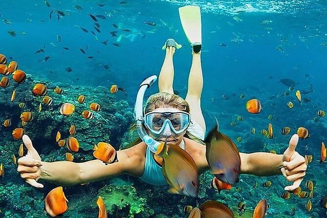 Blue Lagoon Snorkeling with Lunch and Waterfall in Ubud - Blue Lagoon snorkeling at two separate spots