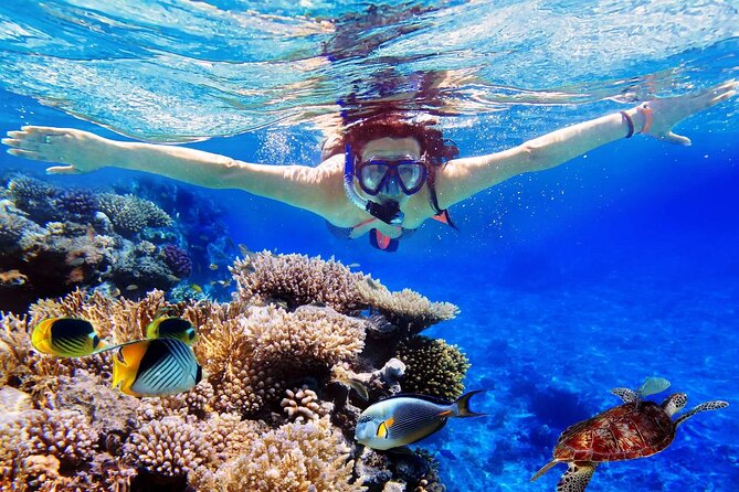 Blue Lagoon & Tanjung Jepun Snorkeling Private Tour - Key points at a glance