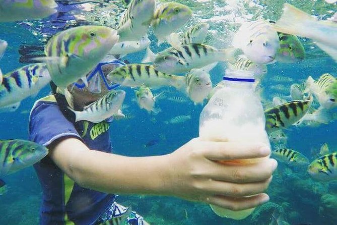 Blue Lagoon & Tanjung Jepun Snorkeling Private Tour - Tanjung Jepun and the second look at Bali’s reefs