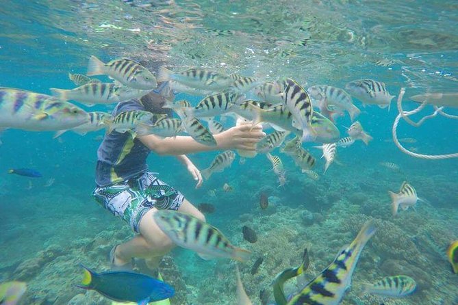 Blue Lagoon & Tanjung Jepun Snorkeling Private Tour - Who will enjoy this private snorkeling day