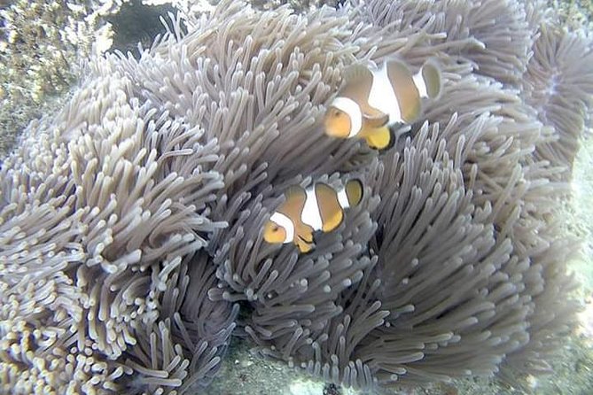 Blue Lagoon & Tanjung Jepun Snorkeling Private Tour - Arriving near Blue Lagoon Beach