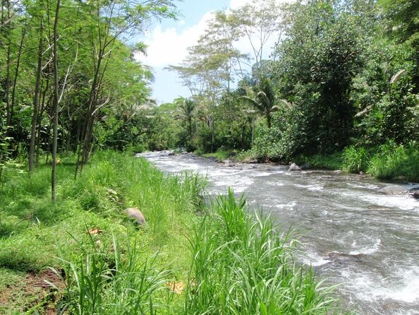 BMW Bali Rafting + Flying Fox at Telaga Waja River (LESS STAIRS) - Why Telaga Waja Makes a Good Rafting Choice
