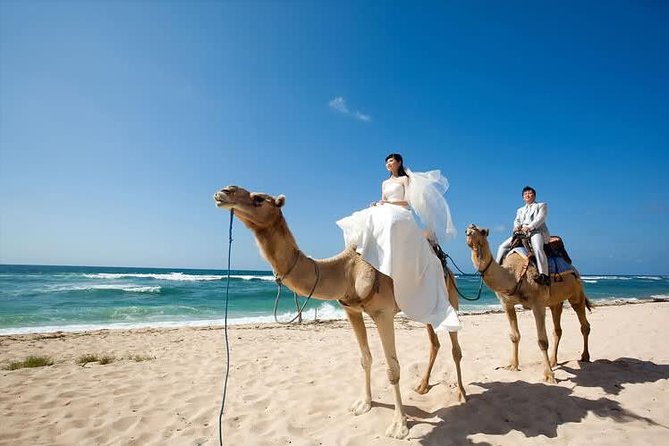 Camel Safari 30 minutes In White Sand Beach - Sharing a camel and checking the weight rules