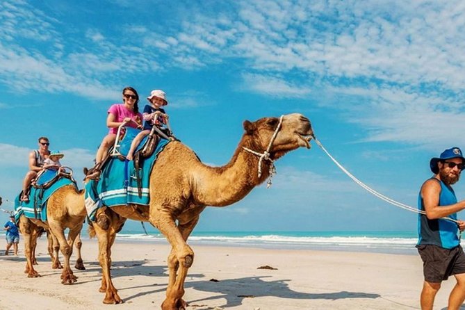 Camel Safari 30 minutes In White Sand Beach - Weather, cancellations, and timing