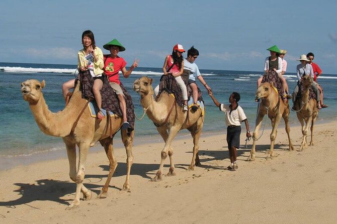 Camel Safari 30 minutes In White Sand Beach - The 30-minute ride and its photo value