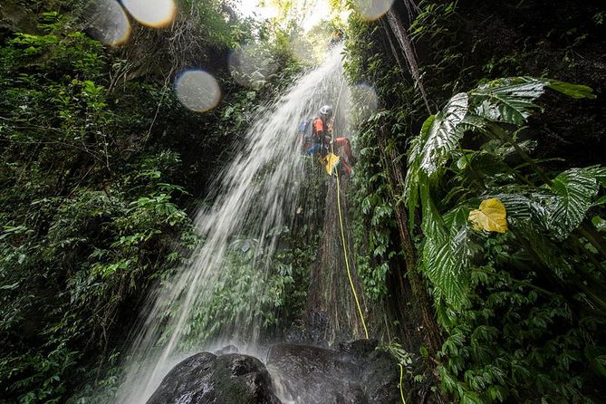 Canyoning Bali : Anahata CANYON (Adventure, discovery, nature) - From Ubud pickup to the basecamp briefing