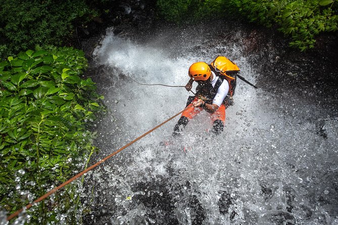 Canyoning Bali, Tamata Canyon (Adventure, discovery, nature) - Key points to know before booking