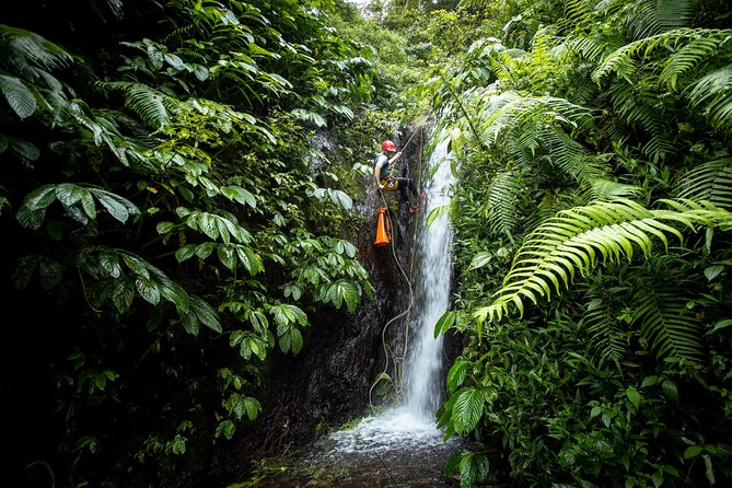 Canyoning Bali, Tamata Canyon (Adventure, discovery, nature) - Why Tamata Canyon feels different from a standard Bali day trip