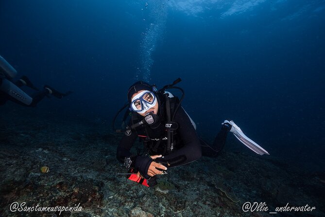 Certified Scuba Dive with Manta Rays (Open Water Diver minimum) - Why Nusa Penida is the right place for a manta encounter
