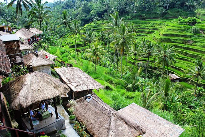 Charter Standard Vehicle with Driver at Bali- 5 Hours Usage - What kind of car you will get