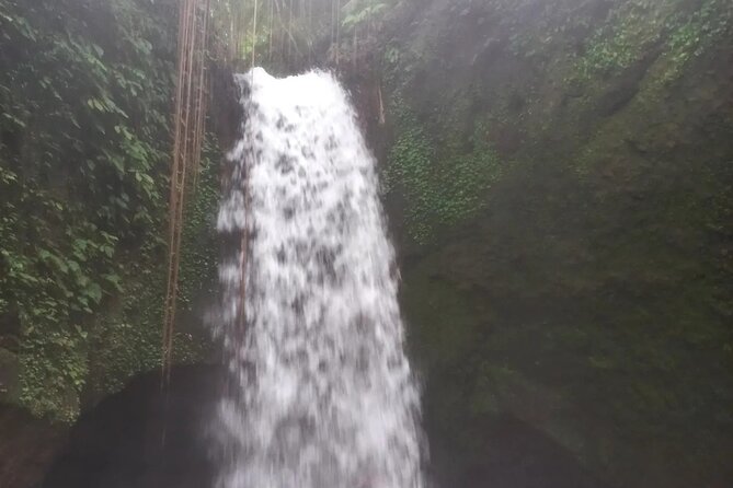 CRETYA Ubud infinity Pool + Hidden Water fall + Water Temple Tour - Manuaba Waterfall through farms and bamboo