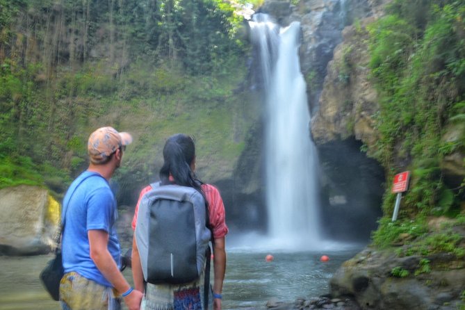 Cretya Ubud Tours - Is $47 a fair price?