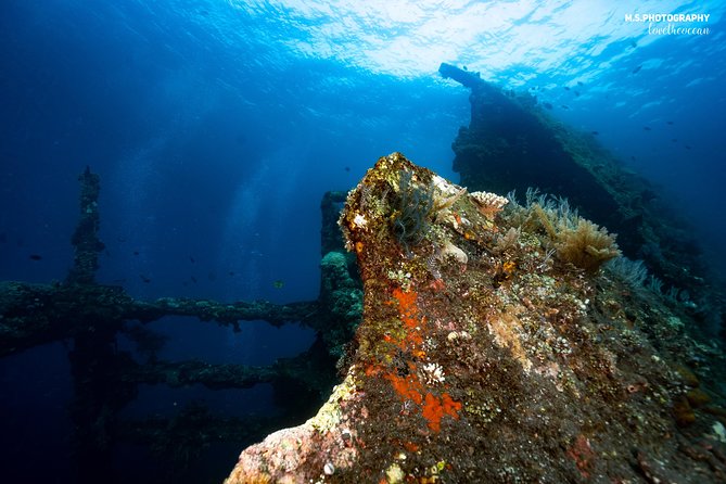 Day Trip certified divers - 3 Dives in Tulamben (pick-up & drop-off included) - What the $149.80 price really covers