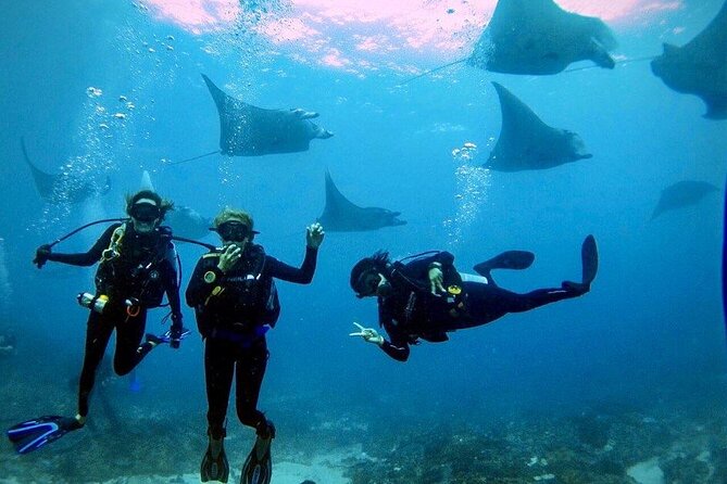 Day Trip Discover Scuba dive in Nusa Penida 2 dives (From Sanur - South Bali) - Why Nusa Penida is a strong first taste of scuba