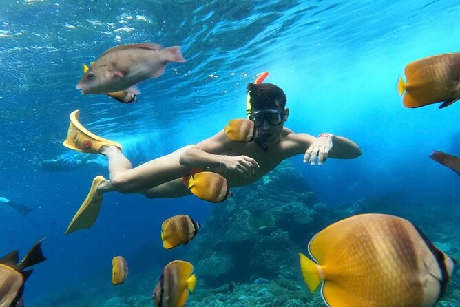 Day Trip: Nusa Penida Snorkling - What the private format changes