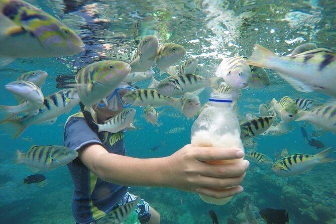 Day Trip: Nusa Penida Snorkling - Kelingking Beach and the famous T-Rex cliff