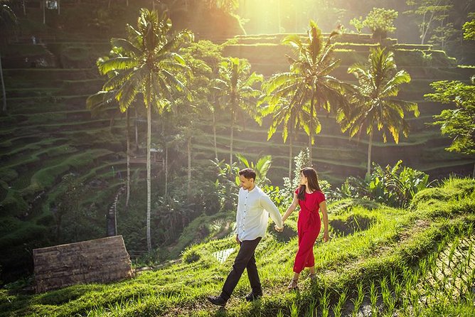 Day Trip: Ubud Monkey Forest, Rice Terrace, Temple and Waterfall - Is $37 a fair price?