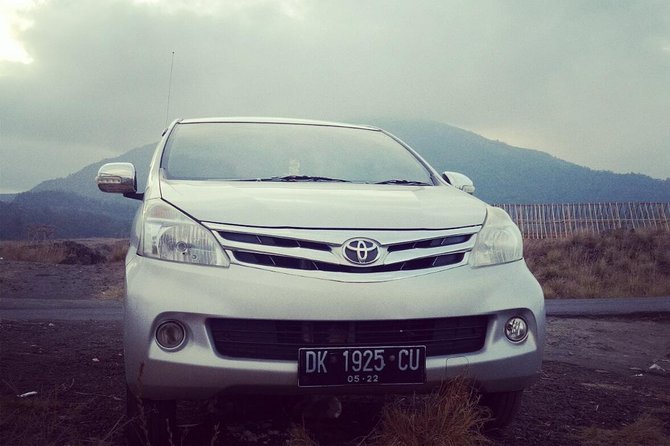 Design Your Own Bali Tour - What the driver adds to the day
