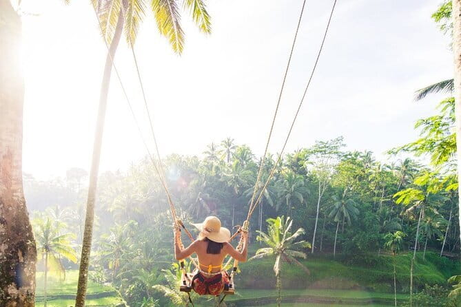 Discover Bali in 3 Days of Scenic and Cultural Delights - Day one: terraces, holy water, and Ubud’s temples