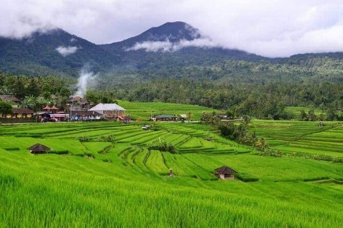 Discover Bali : Shore Excursion from Benoa Port with Free Wi-Fi - Tegalalang Rice Terrace: one hour of classic Bali scenery