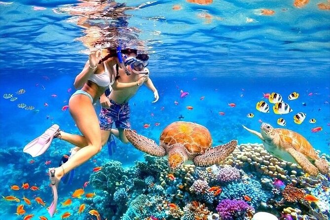 Discover East Bali: Snorkeling Blue lagoon & Instagramable Spots - Key points to know before booking