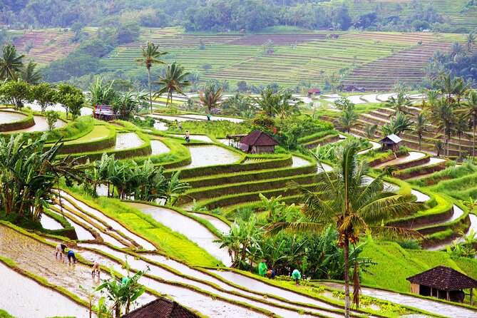 Discover Hidden Waterfall, Unesco Rice Terraces and Mountain Temple - Luhur Batukaru Temple: a calmer cultural finish