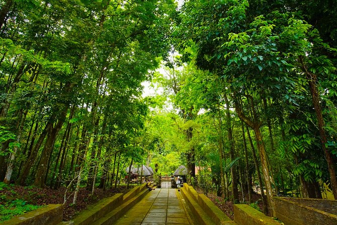 Discover Hidden Waterfall, Unesco Rice Terraces and Mountain Temple - What the private car adds