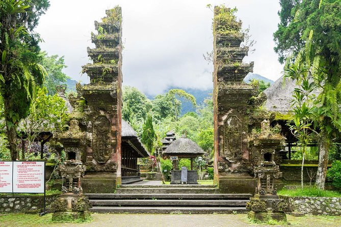 Discover Hidden Waterfall, Unesco Rice Terraces and Mountain Temple - Who should book this Bali day tour?