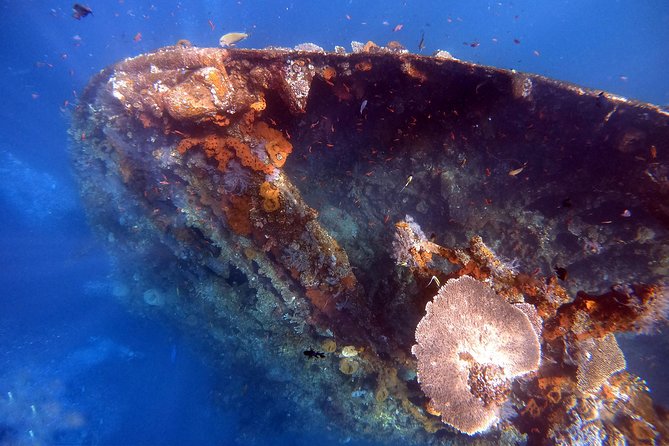 Discover Scuba Diving - What happens during the five-hour program