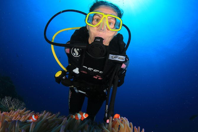 Discover Scuba Diving - Who will enjoy this experience most?